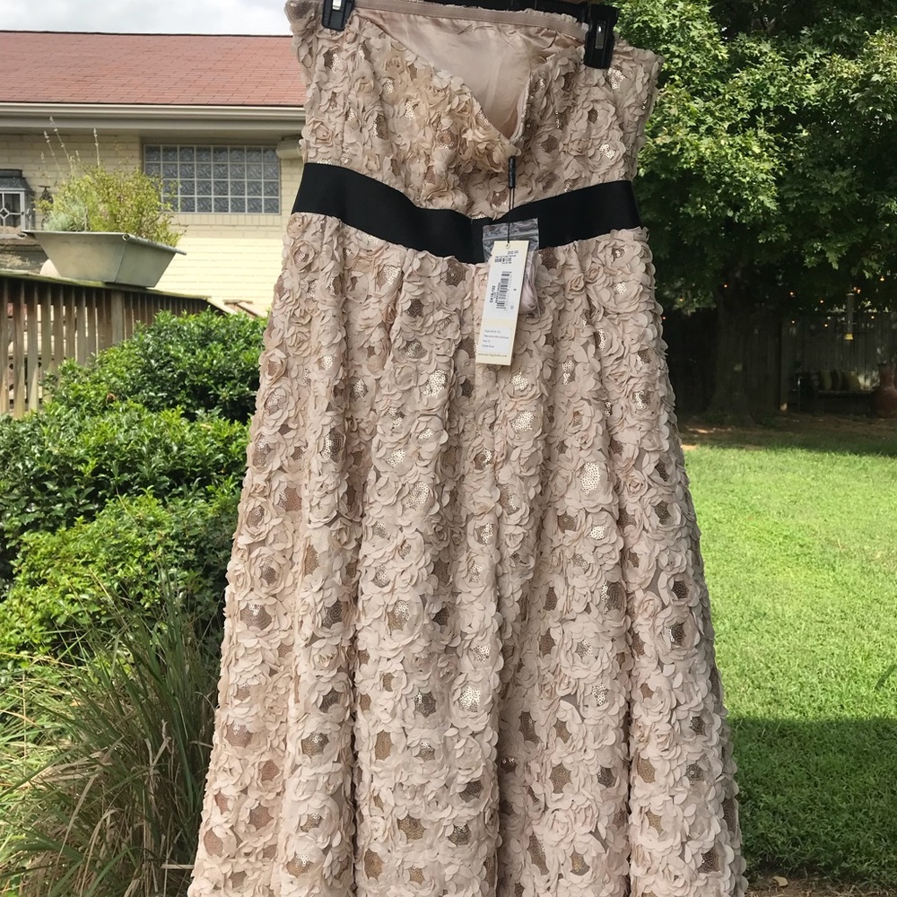 Adorable nude dress ever been worn